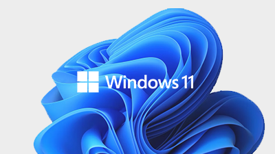 Microsoft® Windows 11 Home  - Instant Delivery in Oman